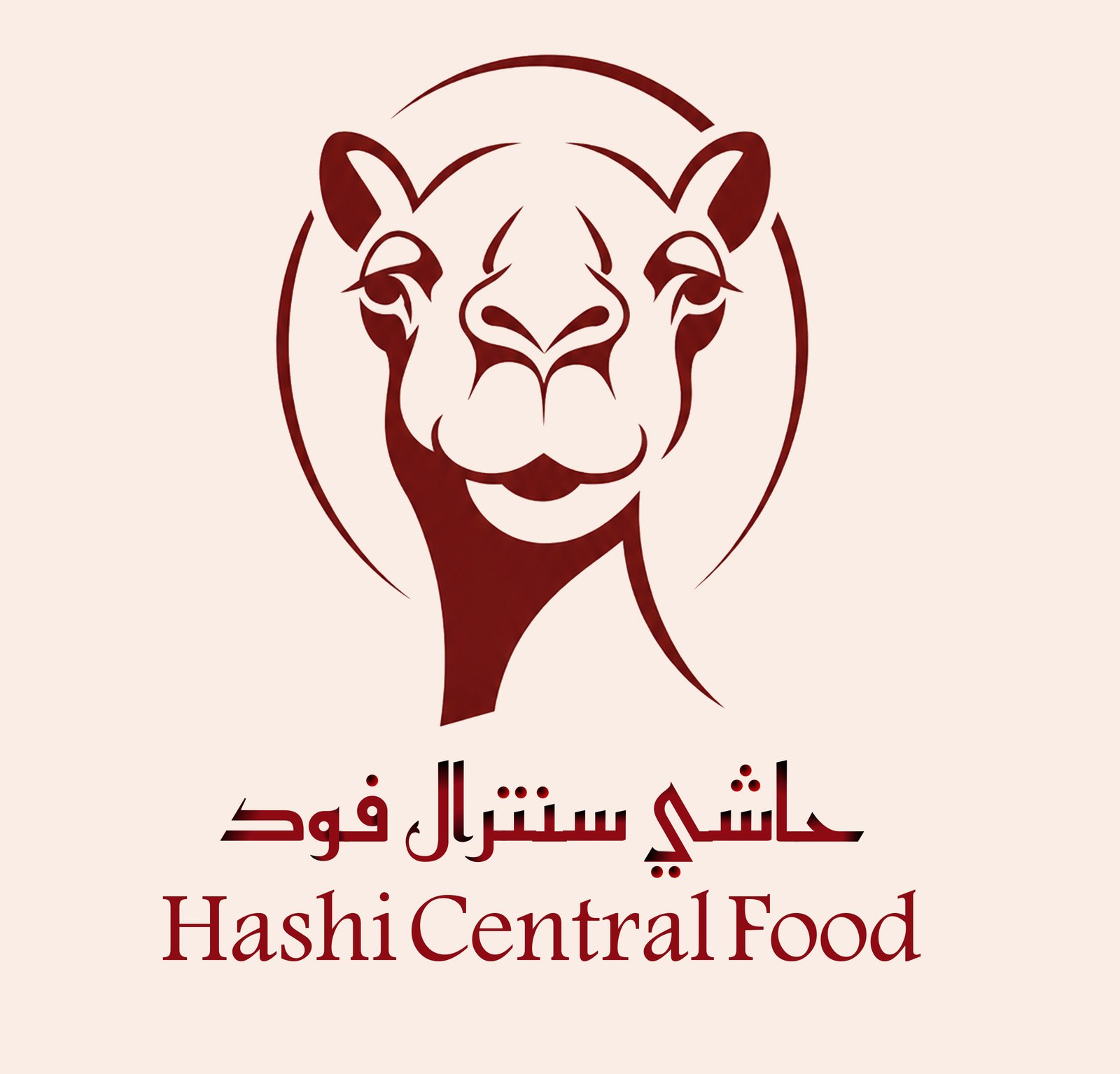 hashi central food